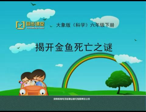 揭开金鱼死亡之谜